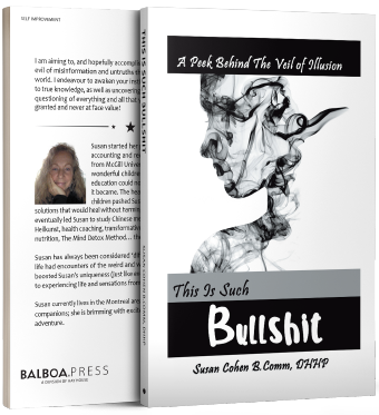 This Is Such Bullshit - Book